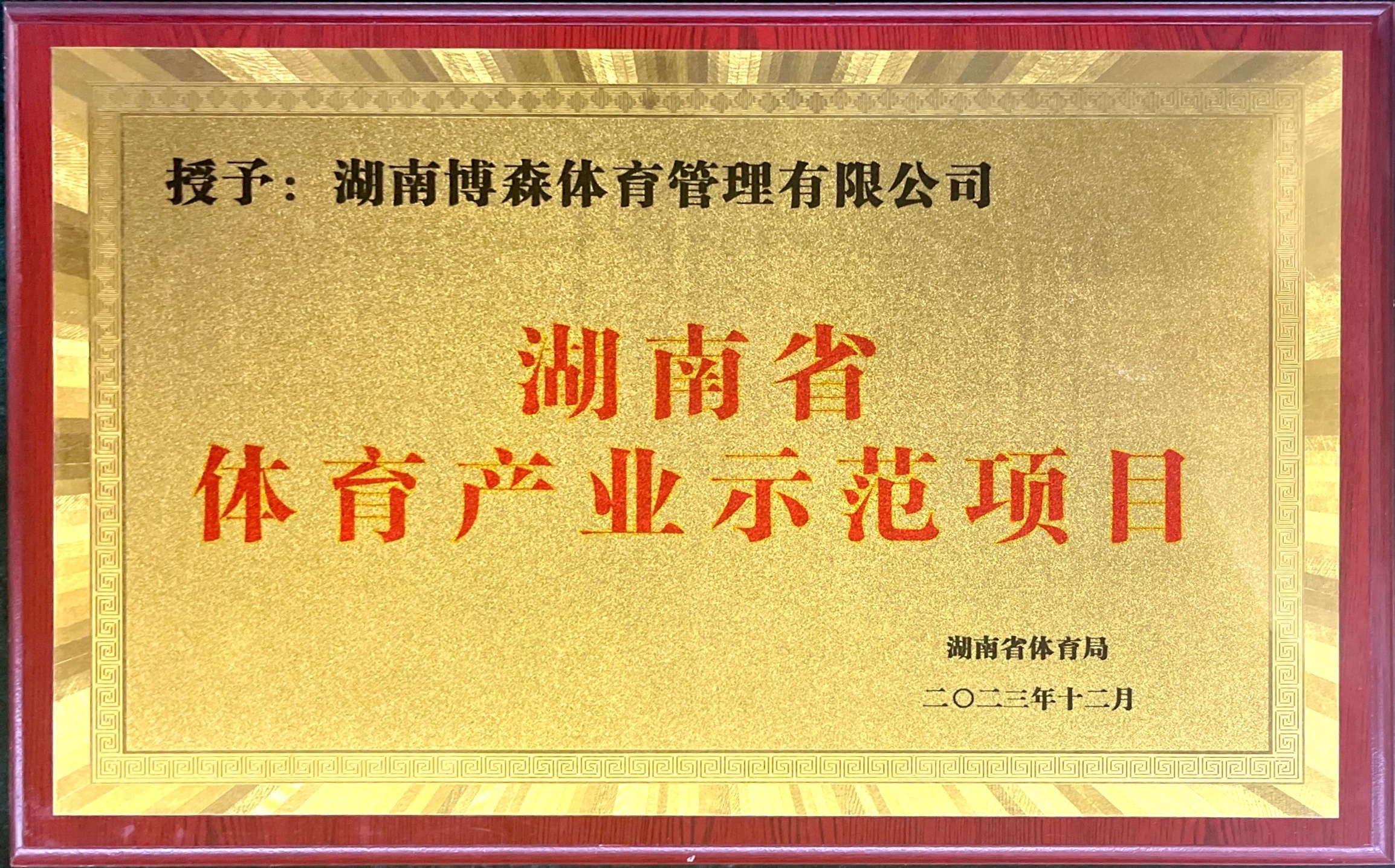 热烈祝贺我司湘江马拉松赛荣获深圳省体育产业示范项目